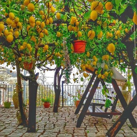 Il Limoneto Di Lulu, Holidays Among The Lemon Trees Minori Exterior foto