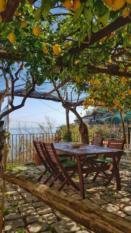 Il Limoneto Di Lulu, Holidays Among The Lemon Trees Minori Exterior foto