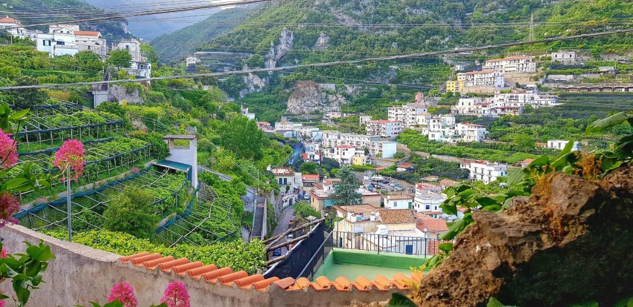 Il Limoneto Di Lulu, Holidays Among The Lemon Trees Minori Exterior foto