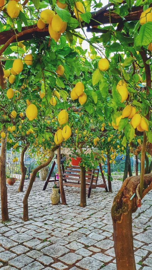 Il Limoneto Di Lulu, Holidays Among The Lemon Trees Minori Exterior foto