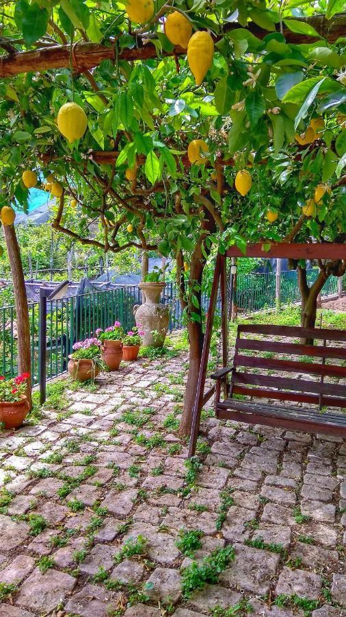 Il Limoneto Di Lulu, Holidays Among The Lemon Trees Minori Exterior foto