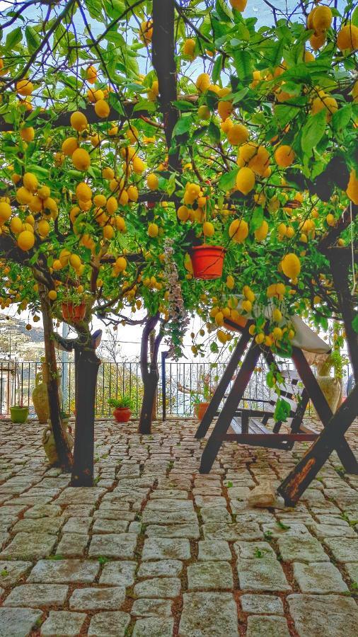 Il Limoneto Di Lulu, Holidays Among The Lemon Trees Minori Exterior foto